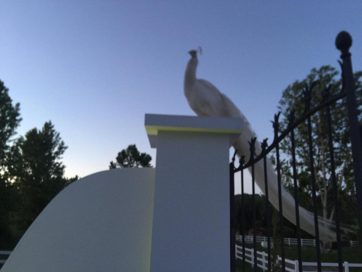 Country House Villas Santarém エクステリア 写真