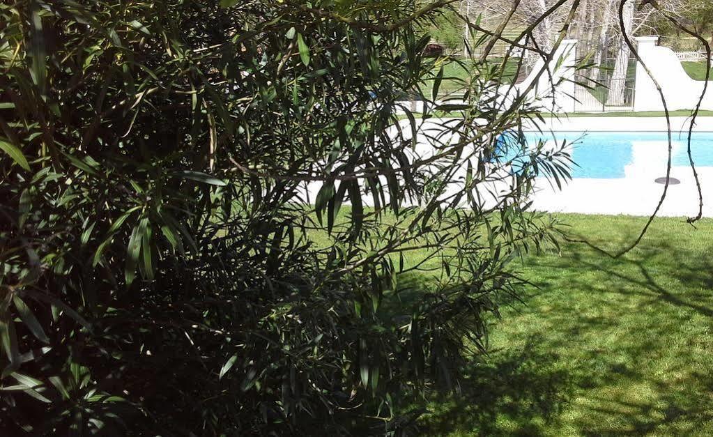 Country House Villas Santarém エクステリア 写真